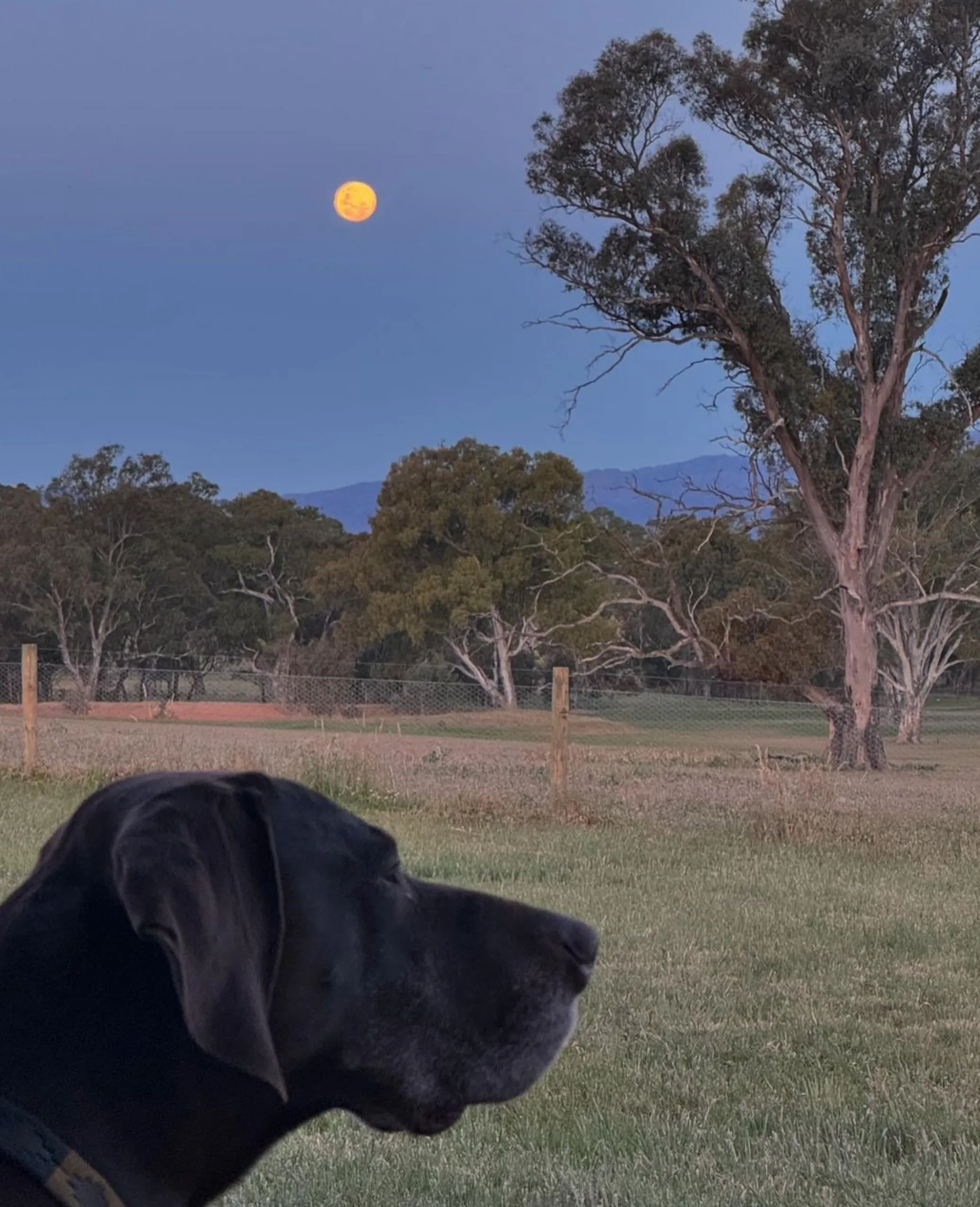 Grampians National Park