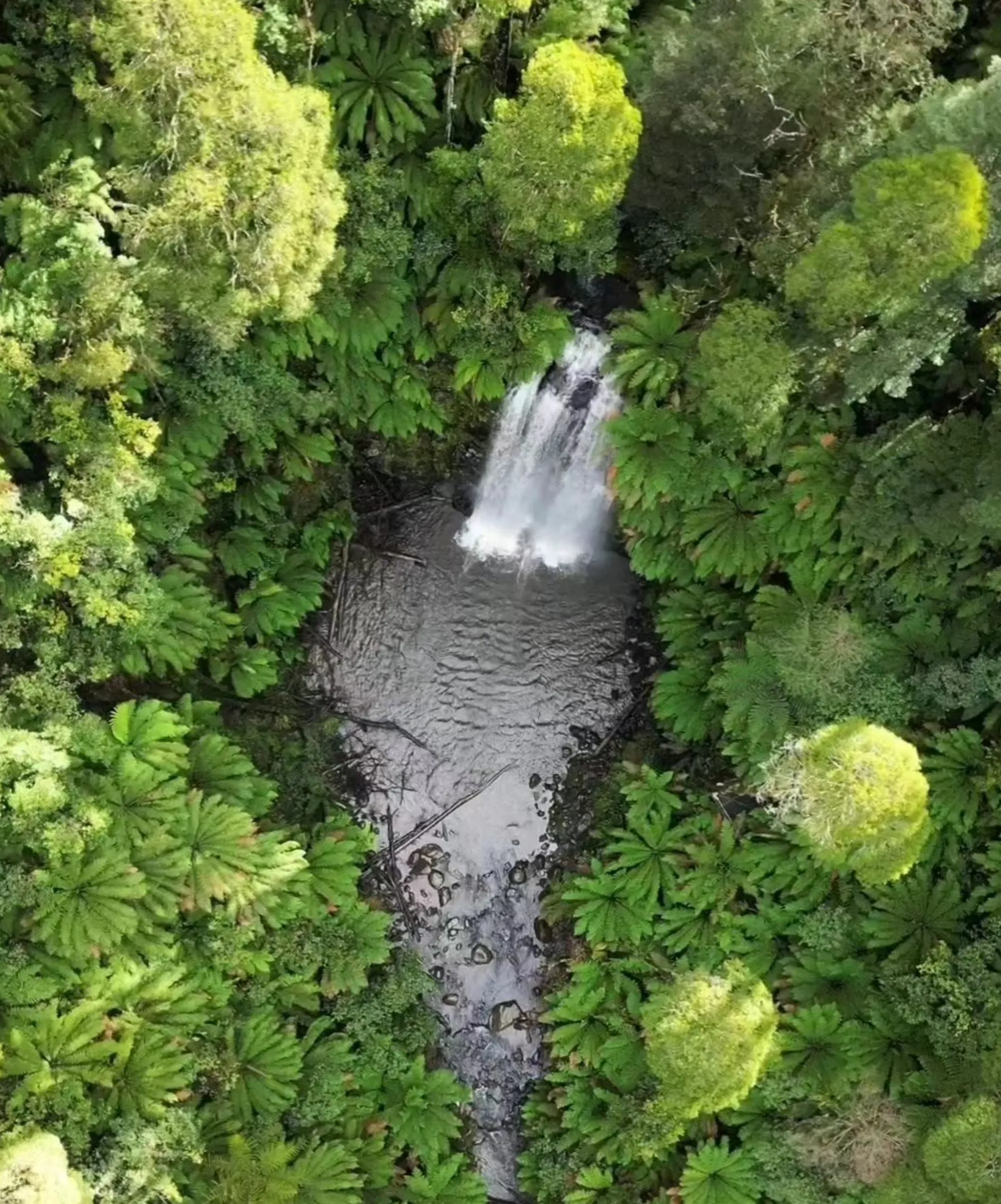 Great Otway National Park